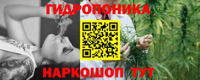 PSILOCYBIN Кинель