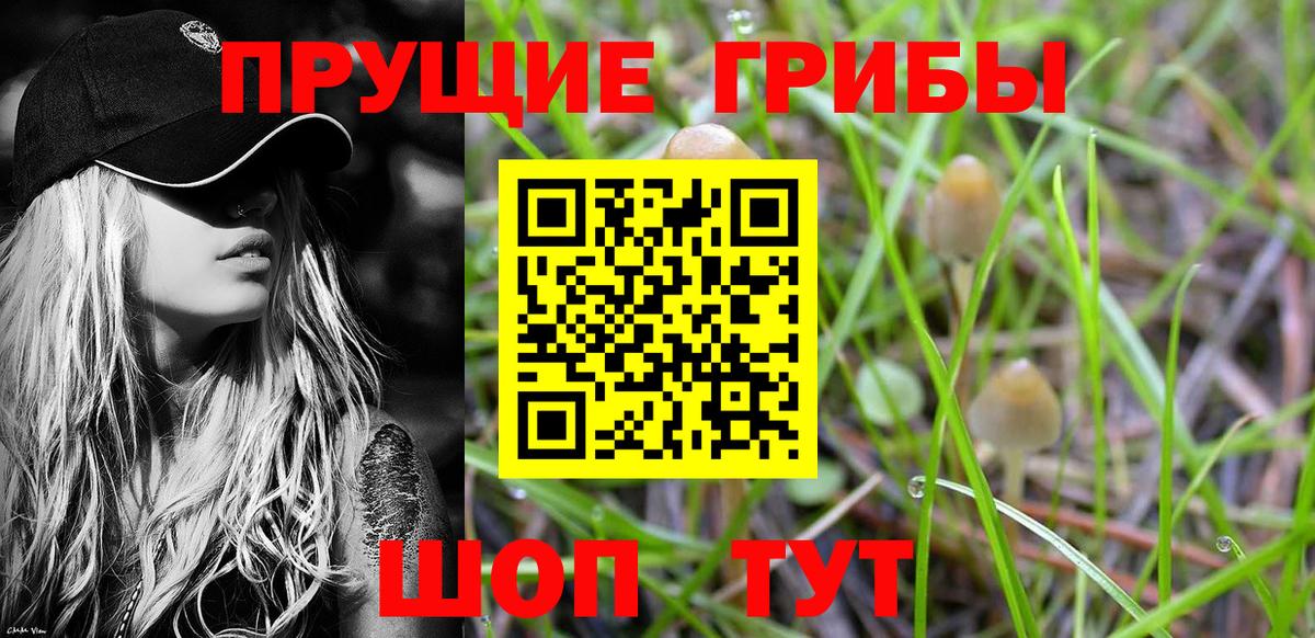 Псилоцибиновые грибы MAGIC MUSHROOMS Малоярославец
